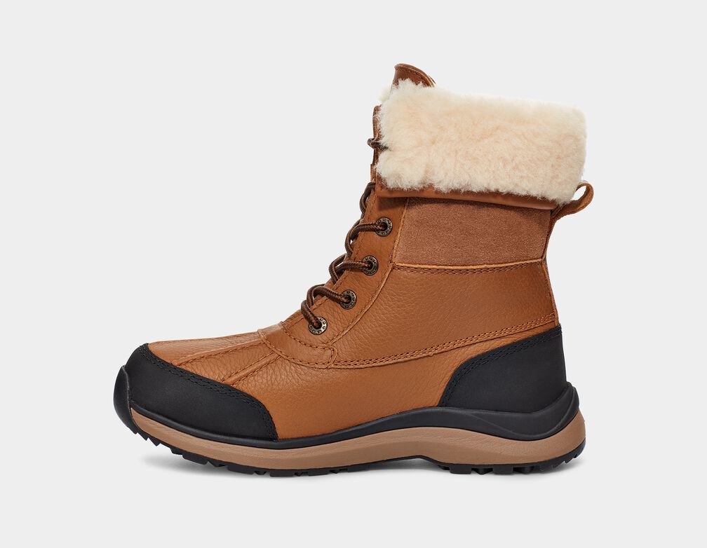 Women's Adirondack III Boot