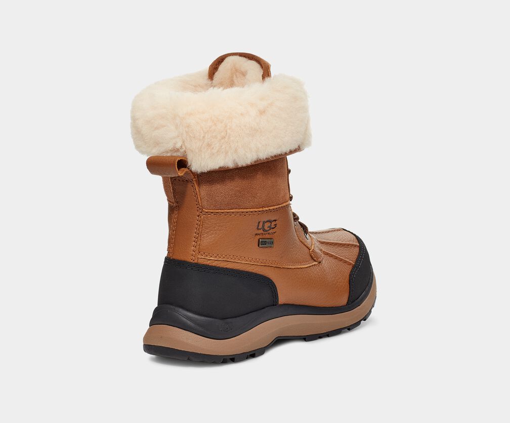 Women's Adirondack III Boot